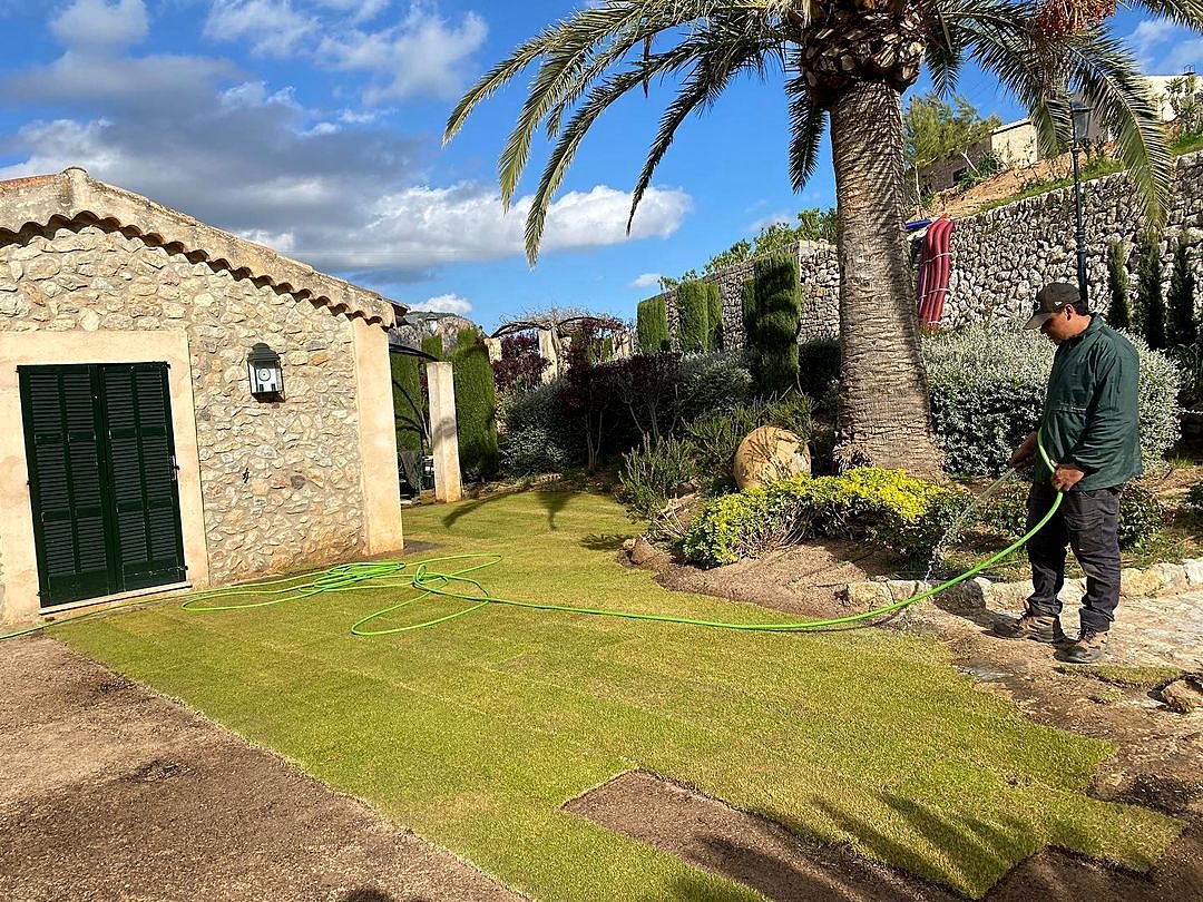 Trabajo de Alcoleas Gardens en Mallorca